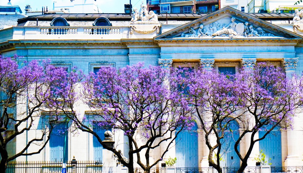 Palacete francés en Recoleta, con los jacarandás en flor